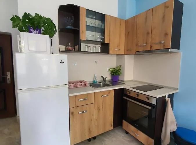 Flowers Appartement Pomorie